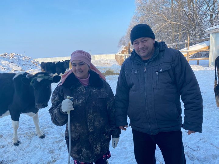 Супруги Шайхутдиновы из села Отар-Дубровка рассказали, как управляются с большим ЛПХ