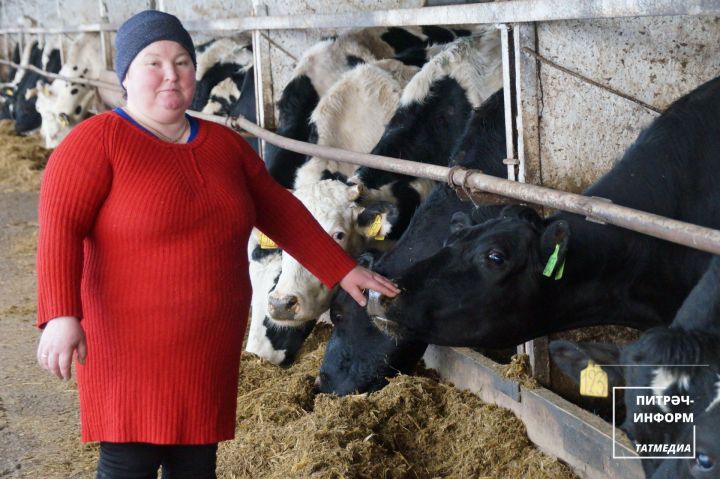 Питрәч районында яшәүчегә мактаулы исем бирелде