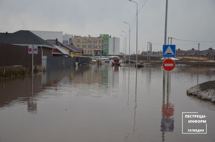 Талые воды затопили улицу в деревне Куюки