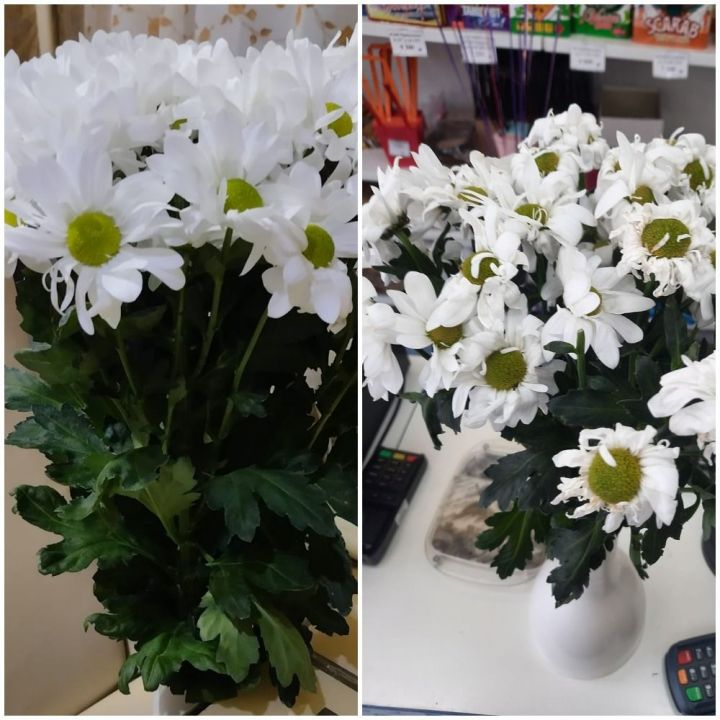 До/после: подписчица пожаловалась на цветочный магазин в Пестрецах