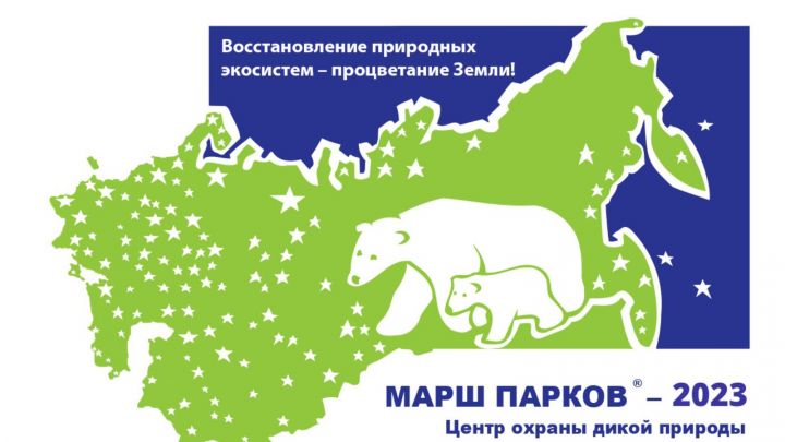 Пестречинские школьники могут принять участие в Международной акции «Марш парков»