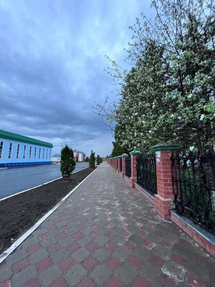 Град, сильный ветер и до +32 градусов ожидаются в Татарстане в воскресенье