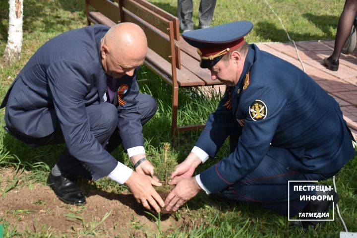 В селе Пановка на «Аллее Памяти» прошел торжественный митинг
