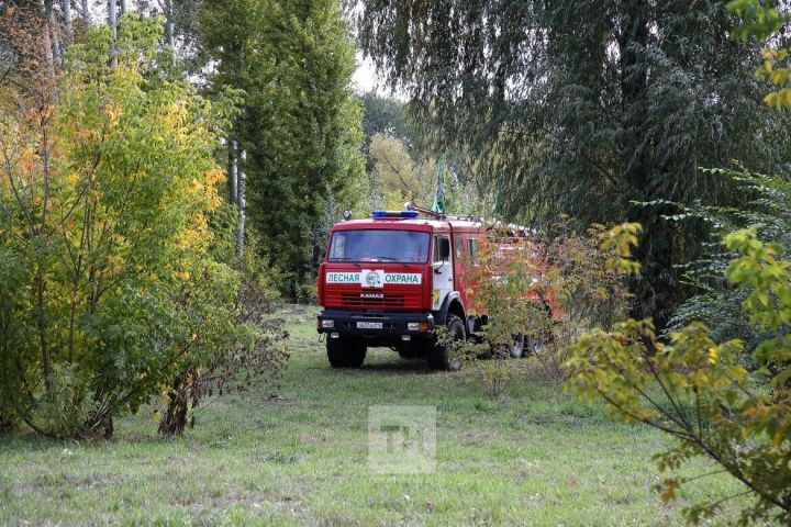 Татарстанда урман янгыннары куркынычы югары булу сәбәпле, кабат кисәтү игълан ителде