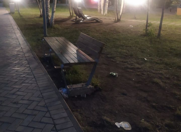 Пестречинец пожаловался, что в парке валяется мусор