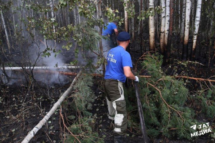 В Татарстане объявлено штормовое предупреждение из-за высокой пожароопасности