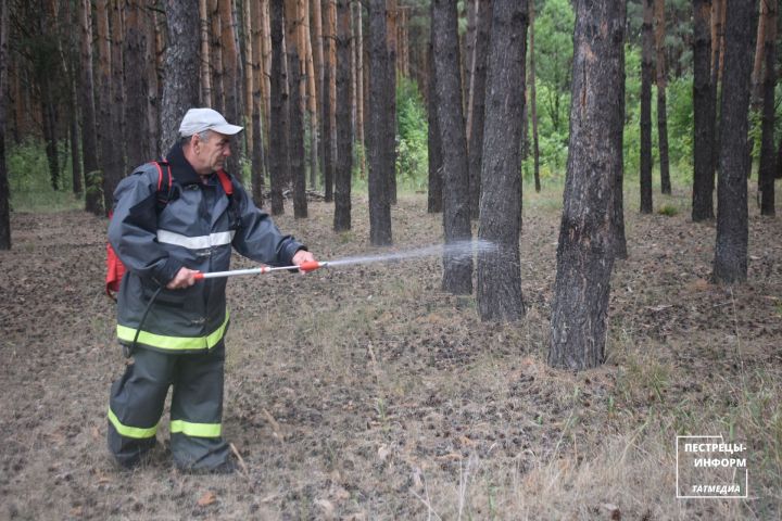 В Пестречинском районе продолжается пожароопасный период