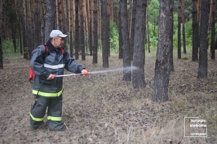 Питрәч районында янгын куркынычы чоры дәвам итә