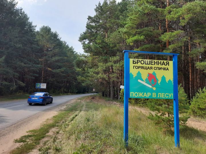 Урманнарга бармый торуың хәерле