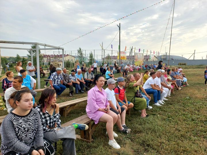 В Пановке отметили День села и День Республики