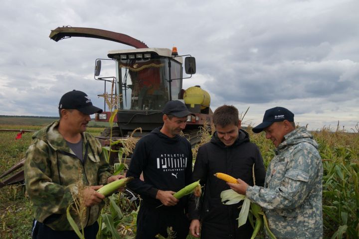 Кырлар патшабикәсе яхшы уңыш бирә