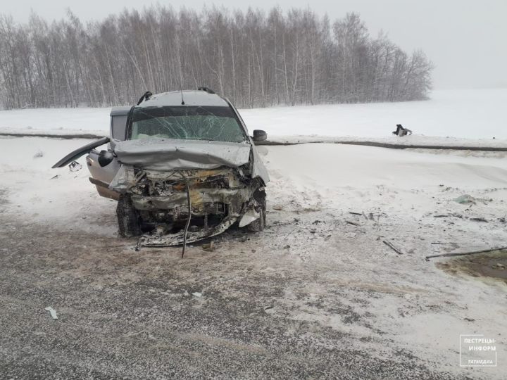 В Пестречинском районе на выезде на трассу произошло ДТП