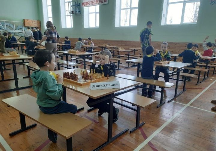В Пестрецах прошел турнир по шахматам