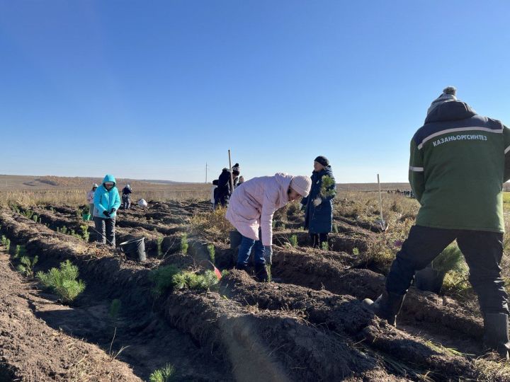 В Пестречинском районе посадили деревья