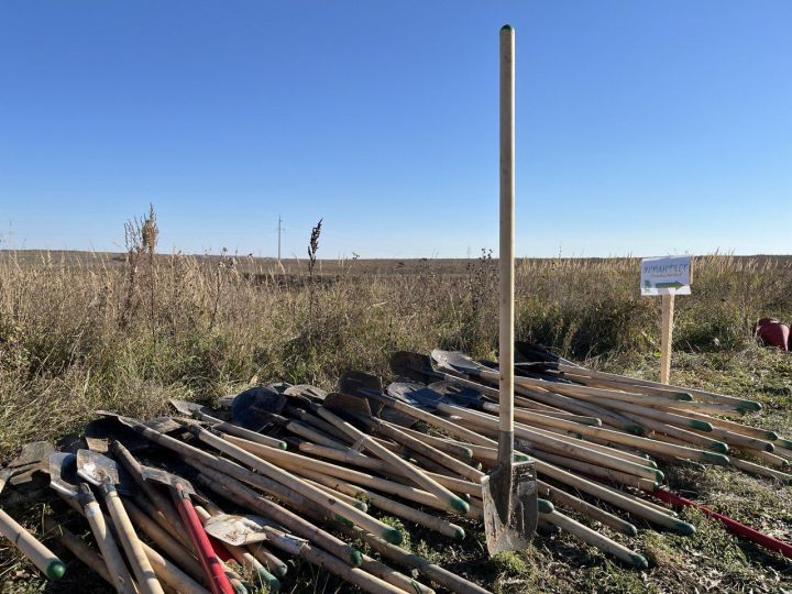 В Пестречинском районе посадили деревья