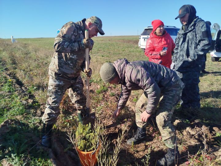 В Пестречинском районе посадили деревья