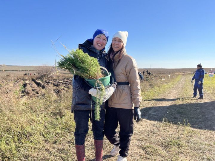 В Пестречинском районе посадили деревья