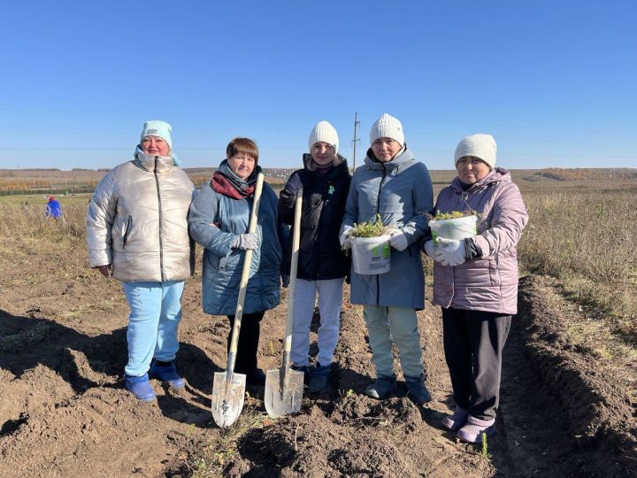 В Пестречинском районе посадили деревья