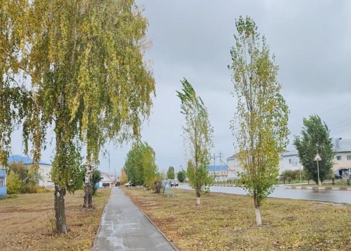 В Пестречинском районе температура опустится до 0 градусов