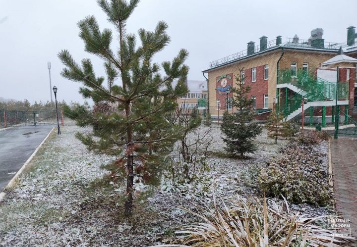 В Пестречинском районе прогнозируются до -3 градусов