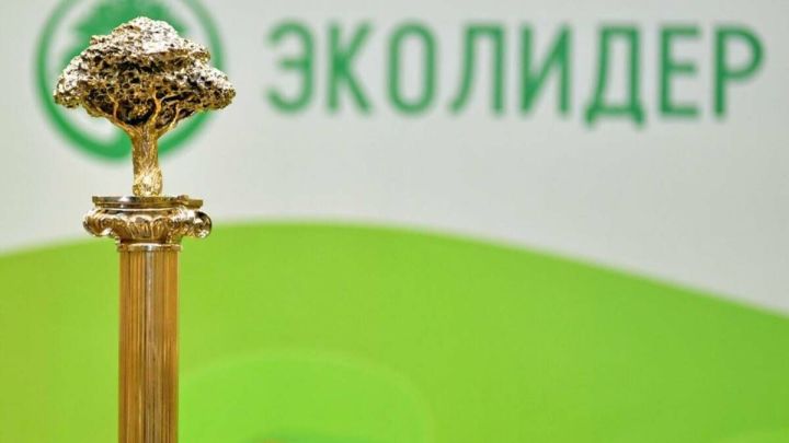 Татарстанцы могут побороться за звание эколидера-2024