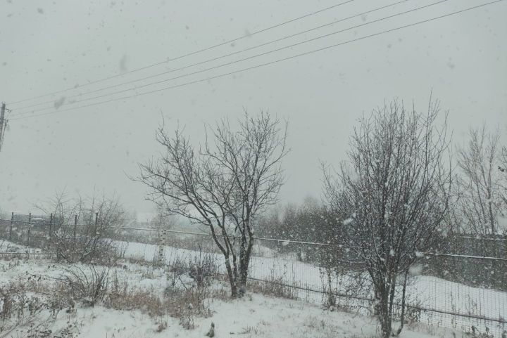 В Пестречинском районе вновь ожидаются метели и порывистый ветер
