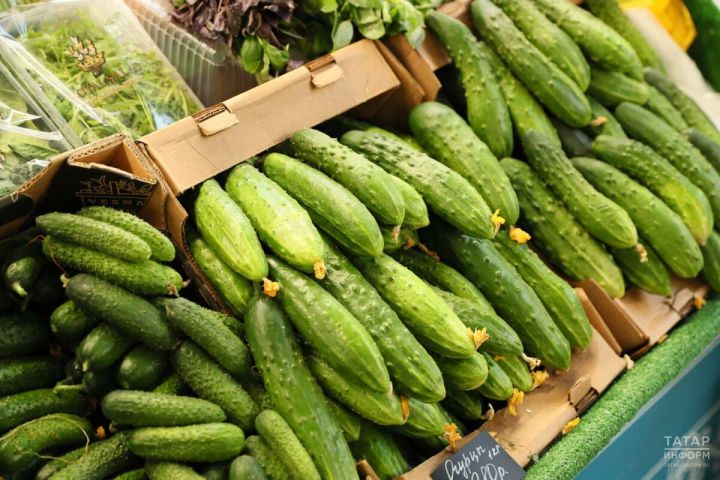 Огурцы в России продолжают дорожать