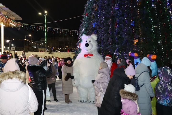 В Пестречинском районе открыли главную елку