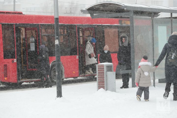 Кого нельзя высаживать из общественного транспорта