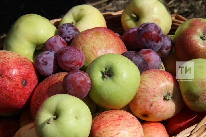 Продукты, которые могут спасти от весеннего авитаминоза