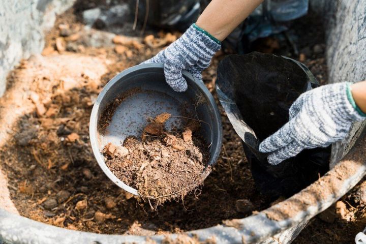 Апрель на даче: готовим почву, избавляемся от грызунов