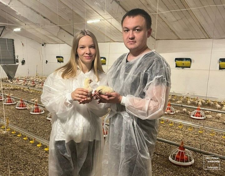 Супруги Александровы из Пестрецов успешно занимаются птицеводством