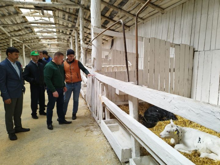 В селе Кулаево прошло семинар-совещание сельхозпроизводителей