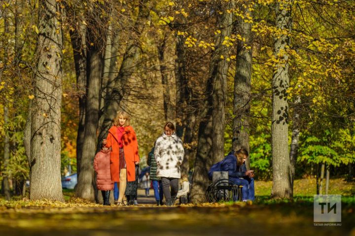 Из-за теплой погоды в Татарстане продолжается сезон клещей