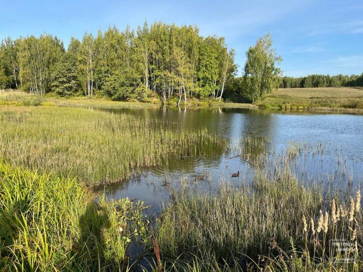 В Пестречинском районе прошел рейд по водоемам