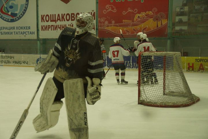 Пестречинцы сыграли с казанской командой в чемпионате ПЛХЛ