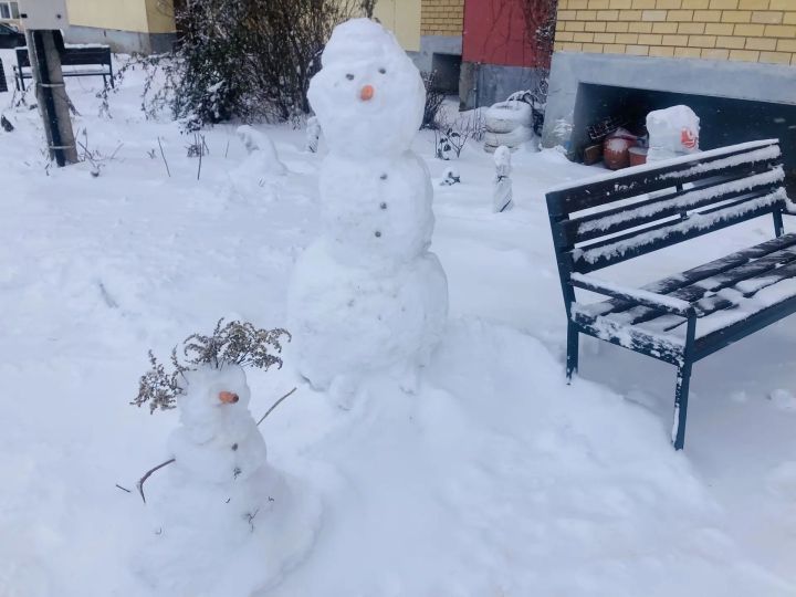 В Пестречинском районе ожидаются метели, штормовой ветер и до 14 градусов мороза