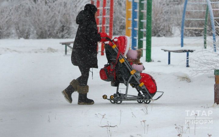 Пестречинский район лидирует по рождаемости в Татарстане