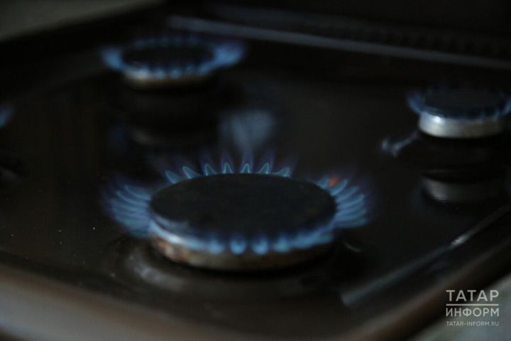 В России предупредили о штрафах за старые газовые плиты