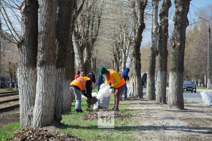 1 апреля в Пестречинском районе стартует санитарно-экологический двухмесячник