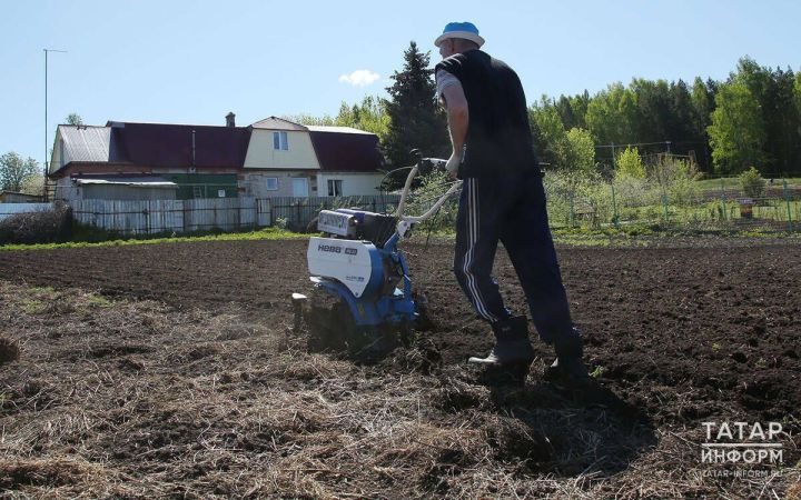 Владельцы заброшенных участков должны привести свою землю в порядок за 3 года