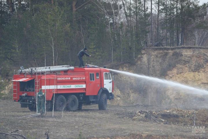 Объявлено штормовое предупреждение из-за высокой пожарной опасности лесов