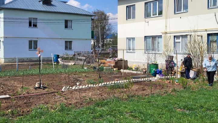 Питрәчле законсыз бакчаларга зарланды