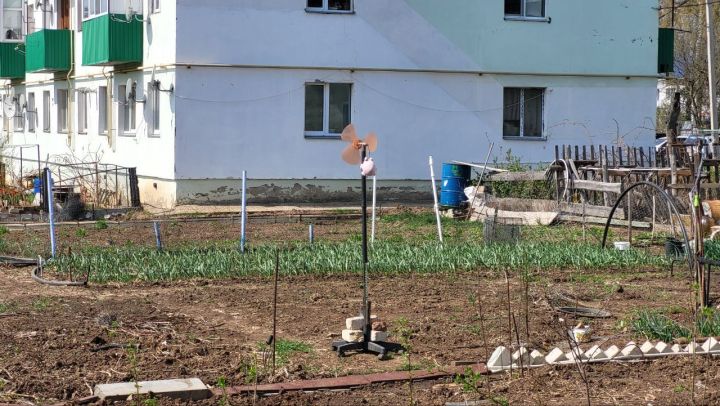 Питрәчле законсыз бакчаларга зарланды