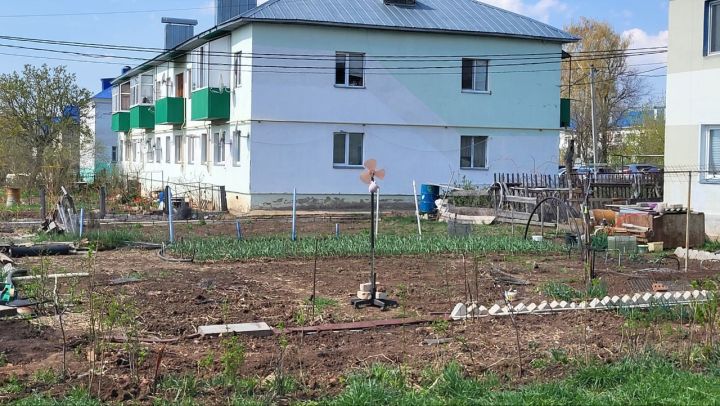 Питрәчле законсыз бакчаларга зарланды