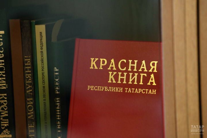 Юрист напомнил об уголовной ответственности за сбор редких растений