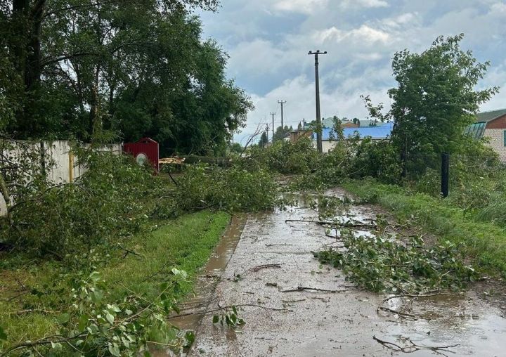 Энергетики района смогли восстановить разрушенные ураганным ветром линии в кратчайшие сроки
