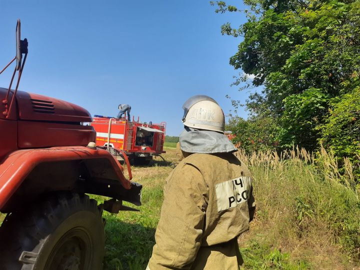 В Татарстане объявили штормовое предупреждение из-за высокой пожарной опасности лесов