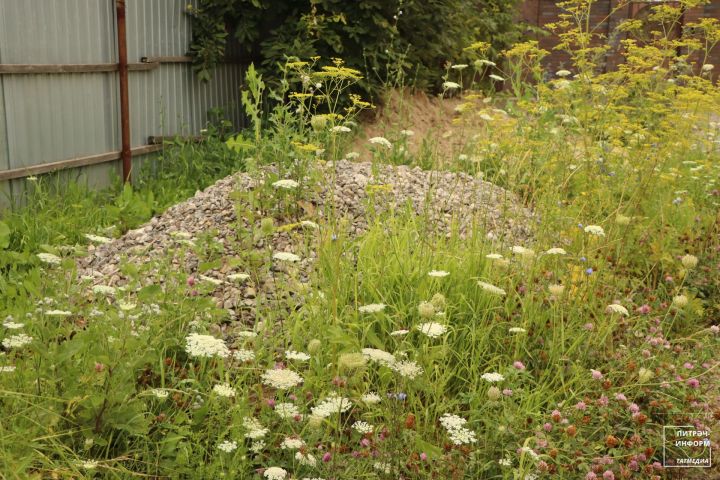 Административ-техник инспекция Питрәч районы авыллары буйлап рейд үткәрә