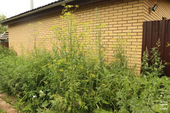 Административ-техник инспекция Питрәч районы авыллары буйлап рейд үткәрә